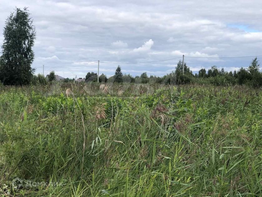 дом городской округ Тюмень, территория СОСН Изыскатель, Вишнёвая улица, 121 фото 3