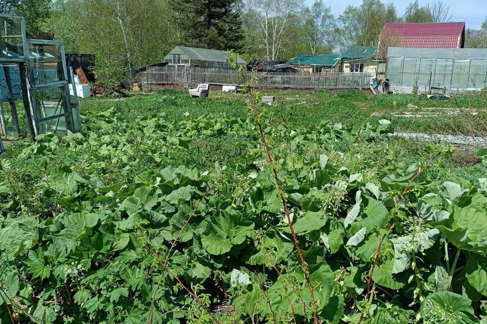 земля г Южно-Сахалинск снт Березовая роща городской округ Южно-Сахалинск, 23 фото 3