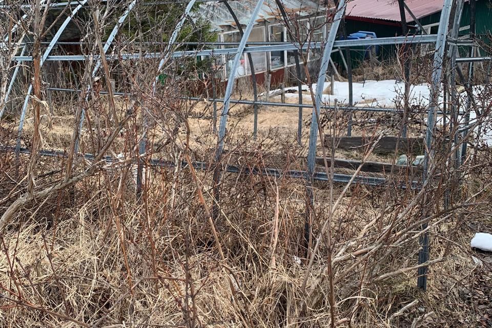 земля городской округ Магадан, СОТ Магадан, Новая улица, 31 фото 3