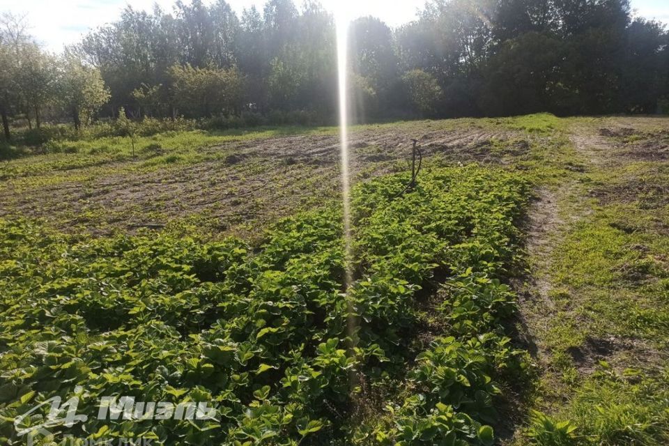 дом р-н Орловский с Солнцево ул Цветочная 11 фото 7