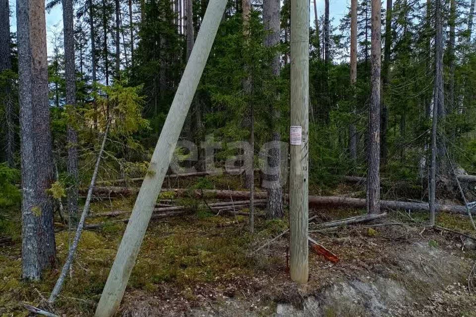 земля г Сыктывкар пгт Краснозатонский городской округ Сыктывкар, микрорайон Сосновая Поляна фото 5