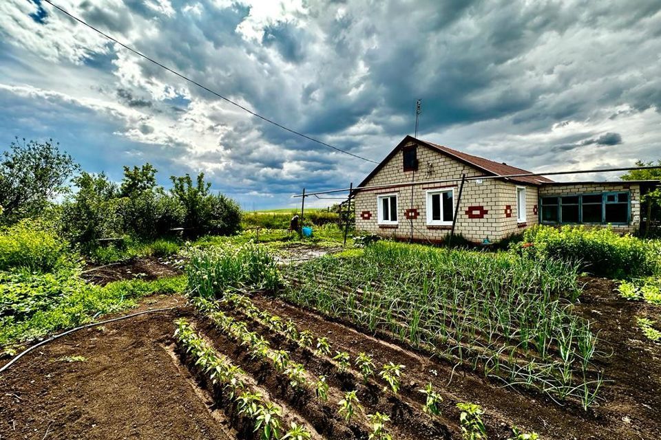 дом р-н Переволоцкий село Черноозёрка фото 1