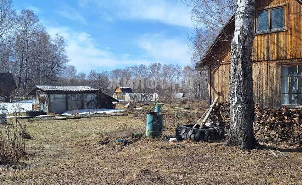 земля р-н Новосибирский СНТ Берёзка НПО Вектор фото 1