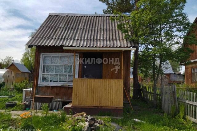 поселок Боровушка фото