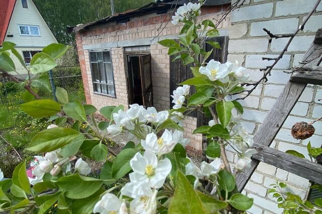 Копейский городской округ, 748, садовые участки Дзержинец фото