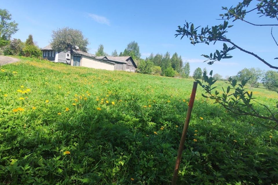 дом р-н Красногородский деревня Иванцево фото 1