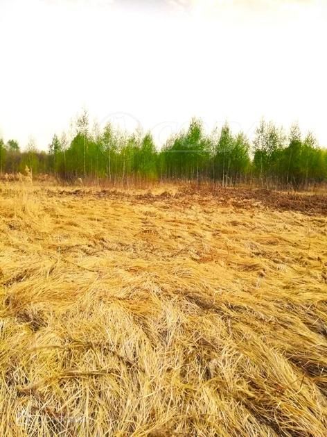 земля р-н Нижнетавдинский садовое товарищество Душевное фото 1