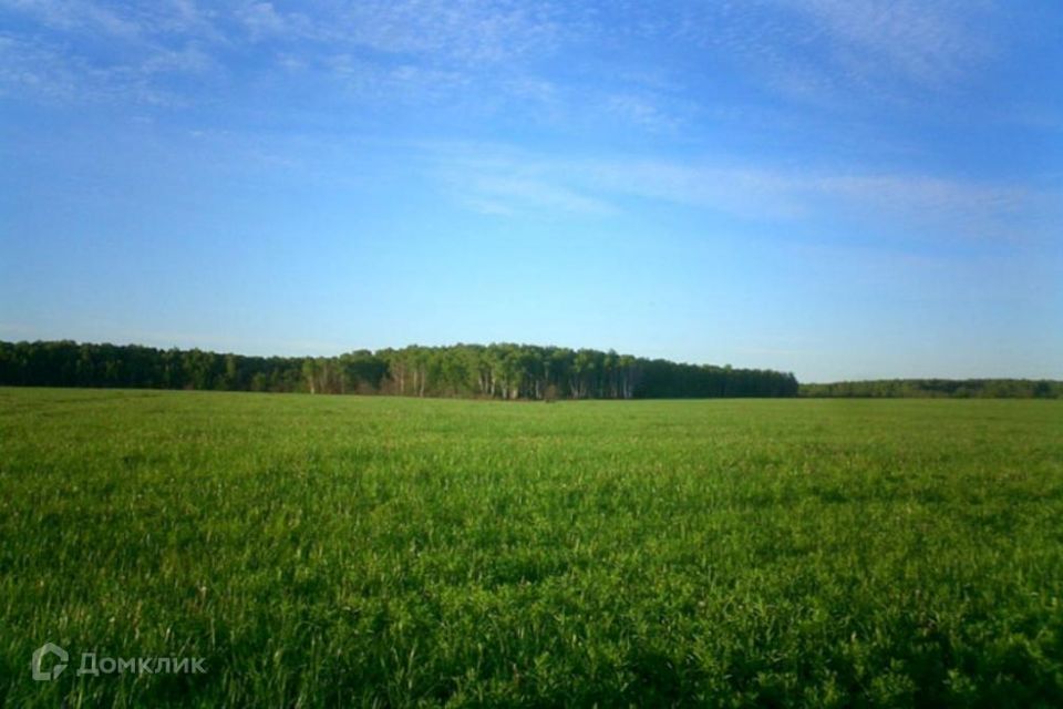 земля р-н Новокузнецкий п Баевка ул Зеленая фото 2