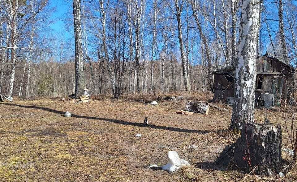 земля р-н Новосибирский СНТ Берёзка НПО Вектор фото 3