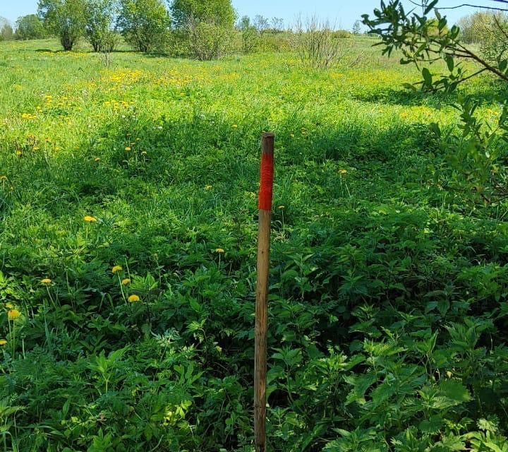 дом р-н Красногородский деревня Иванцево фото 2