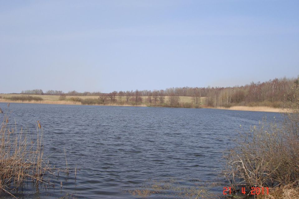 земля р-н Зеленоградский г Зеленоградск фото 2