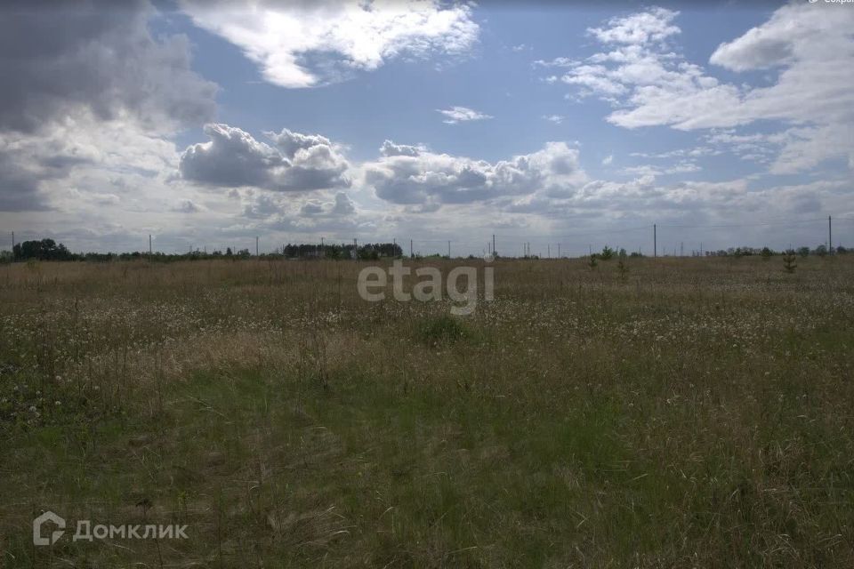 земля р-н Елабужский п Луговой ул Центральная 73 фото 6