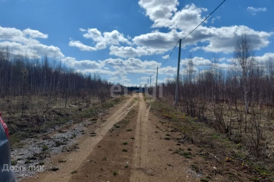 земля р-н Новосибирский ДНТ Раздолье фото 8