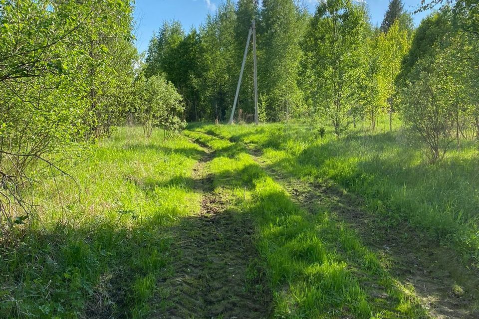 земля р-н Маловишерский деревня Шеляйха фото 7