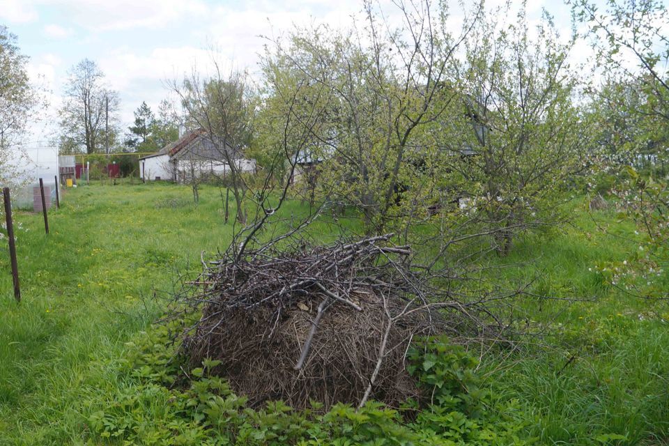 дом р-н Дальнеконстантиновский деревня Бакшеево фото 5