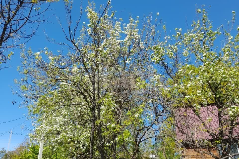 дом г Хабаровск садовое товарищество Амурский садовод, городской округ Хабаровск фото 5