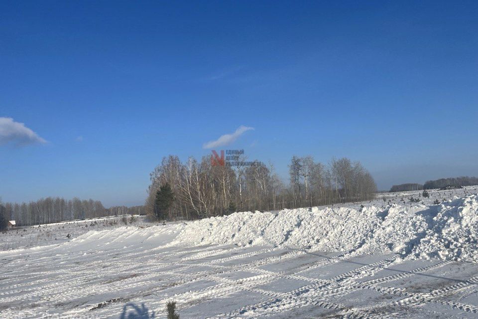 земля р-н Тюменский коттеджный посёлок Новокаменский, улица Гоголя фото 6