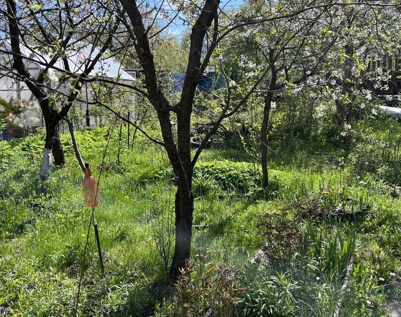 земля г Выкса снт Дубрава городской округ Нижний Новгород, 139 фото 8