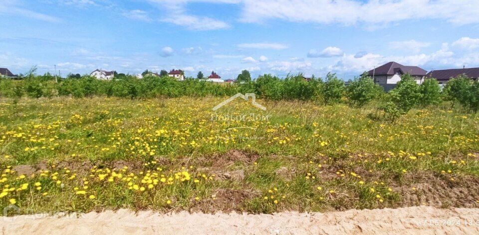 земля р-н Смоленский д Нагать ул Майская 23 фото 6