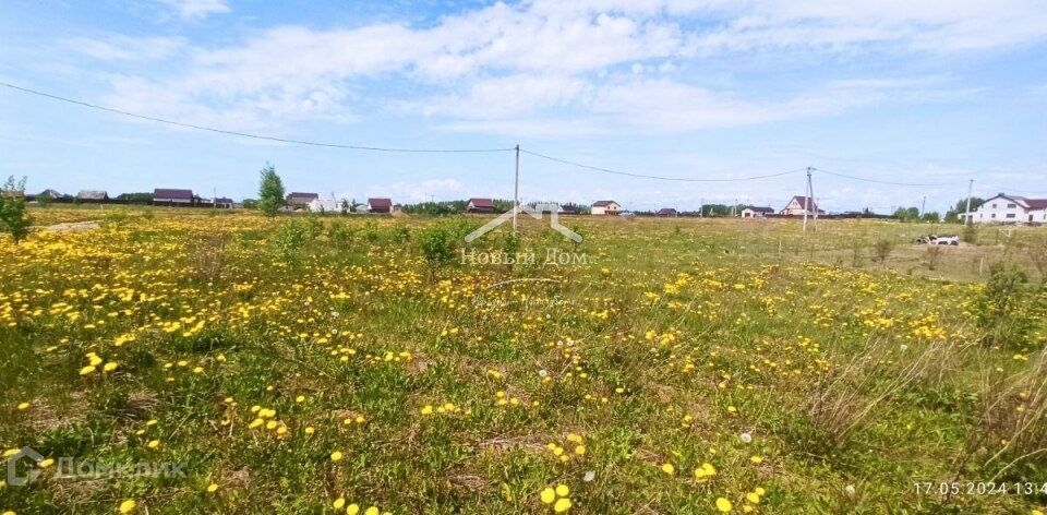 земля р-н Смоленский д Нагать ул Майская 23 фото 5