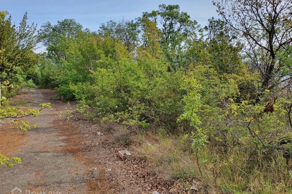 земля городской округ Ялта, Гурзуфский территориальный орган фото 6