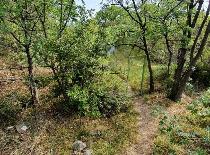 земля городской округ Ялта, Гурзуфский территориальный орган фото 8