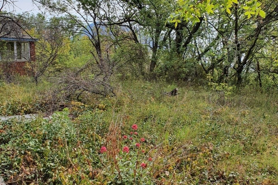 земля городской округ Ялта, Гурзуфский территориальный орган фото 9