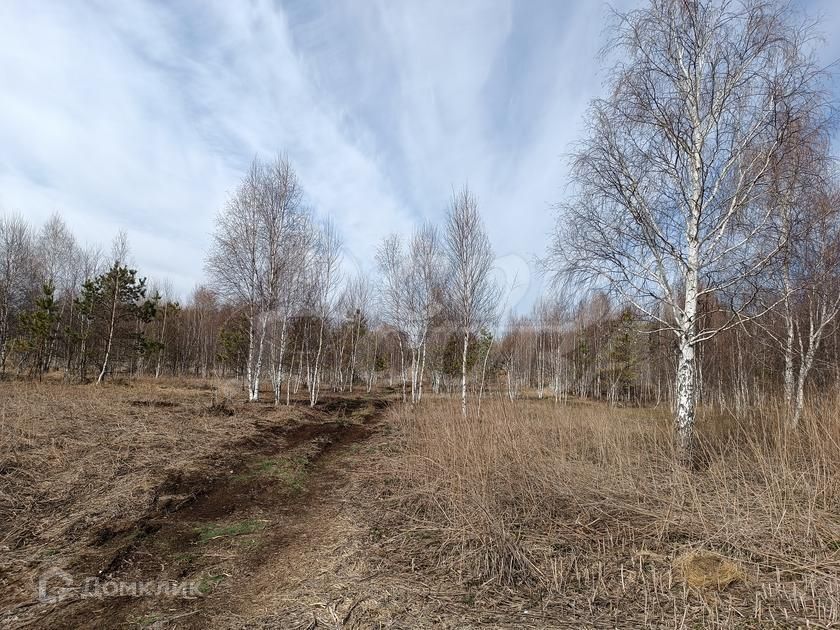 земля р-н Нижнетавдинский садоводческое товарищество У Сосны фото 5