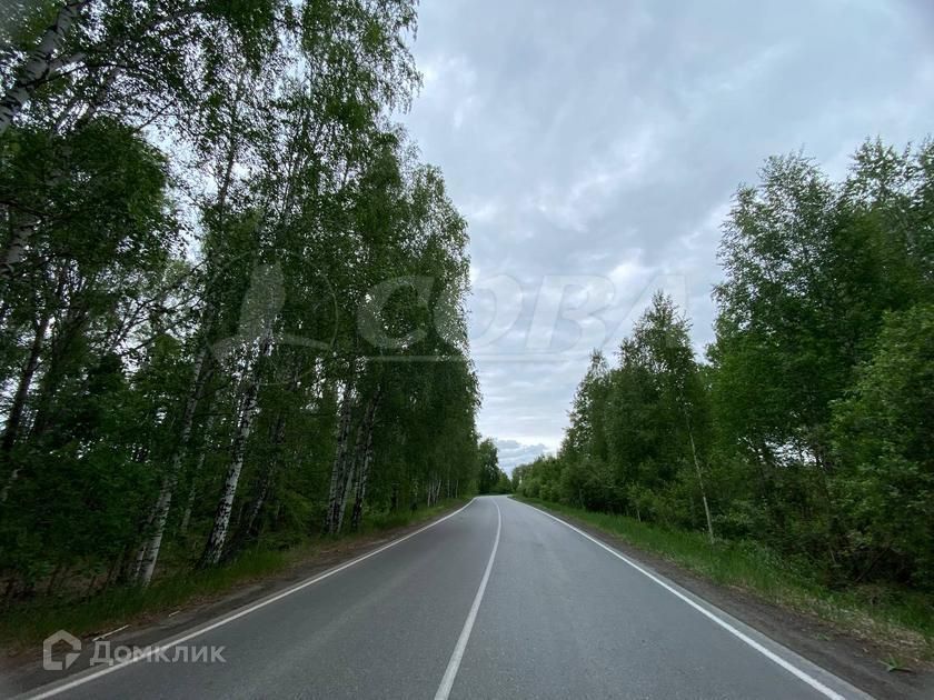 земля р-н Нижнетавдинский садоводческое товарищество У Сосны фото 7