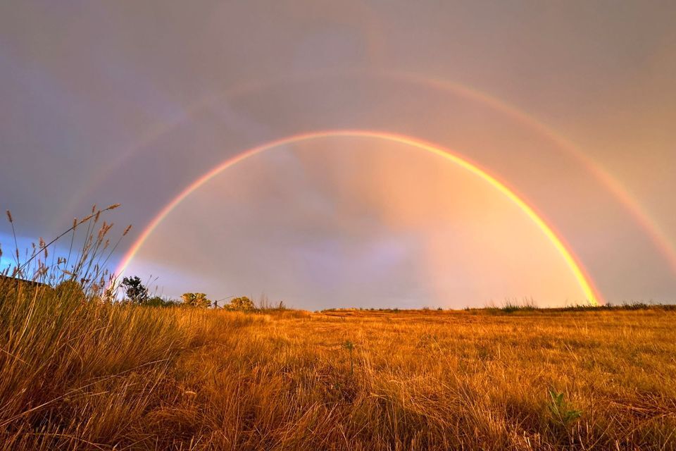 дом р-н Переволоцкий село Черноозёрка фото 5