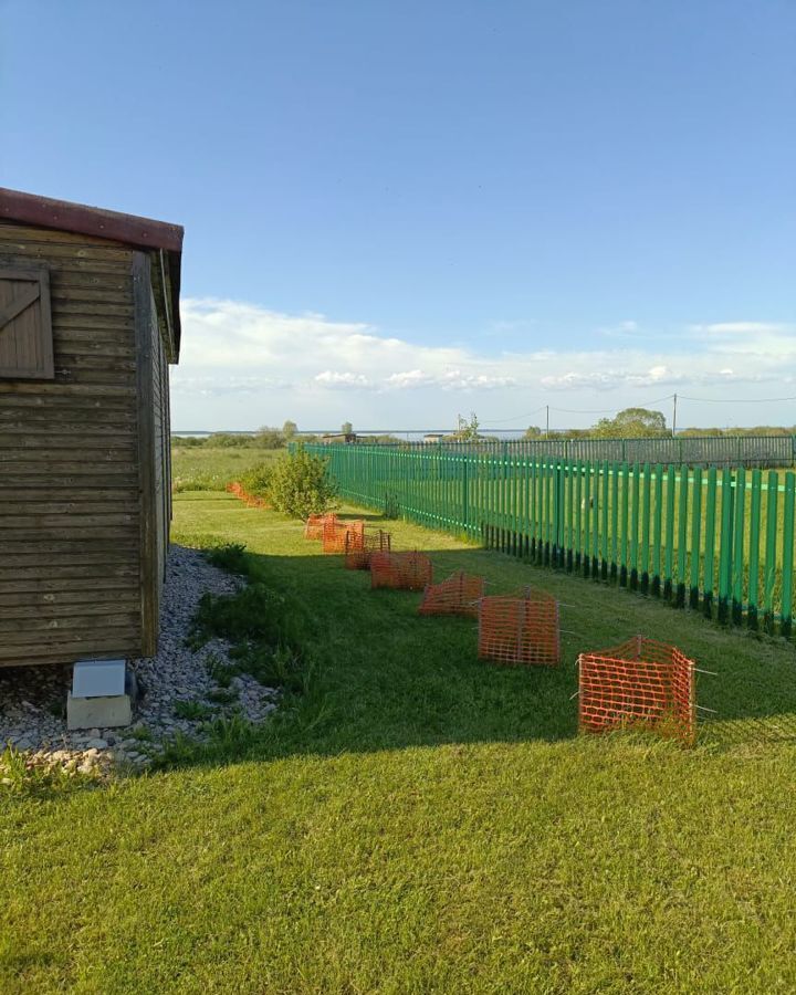 земля р-н Шимский д Мстонь Шимское городское поселение, Шимск фото 6