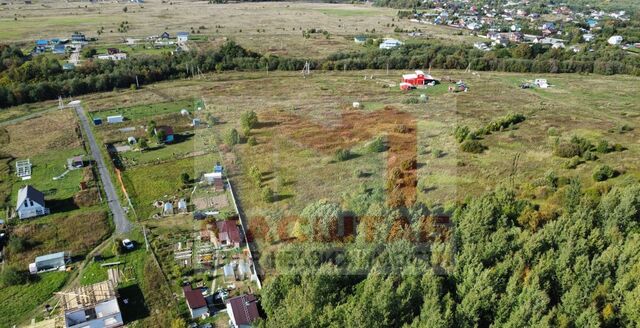 земля Оржицкое сельское поселение фото