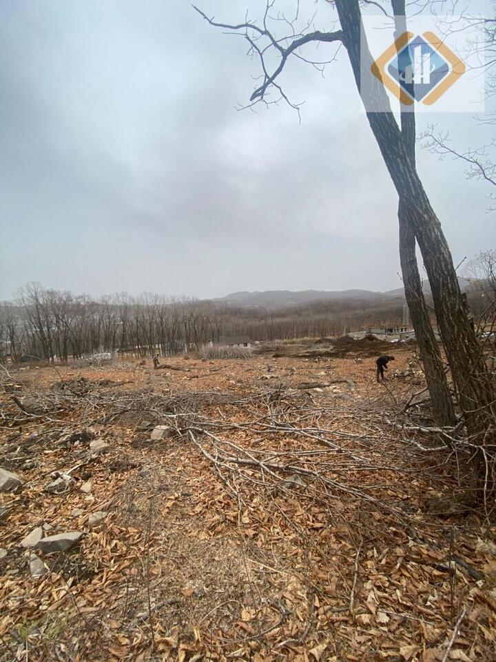 земля г Находка Находкинский городской округ, Кольцо ЦП фото 1