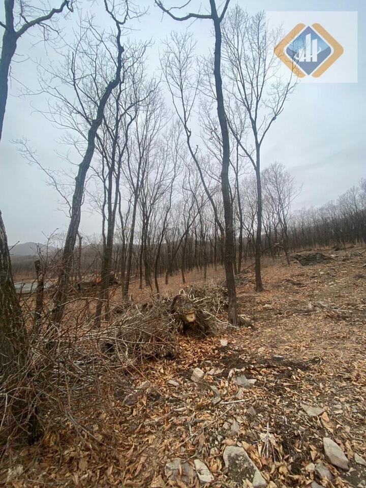 земля г Находка Находкинский городской округ, Кольцо ЦП фото 3