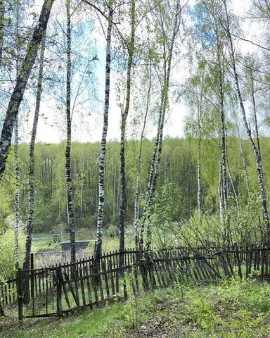 земля г Брянск р-н Бежицкий садово-дачное товарищество Ветеран-1, 30 фото