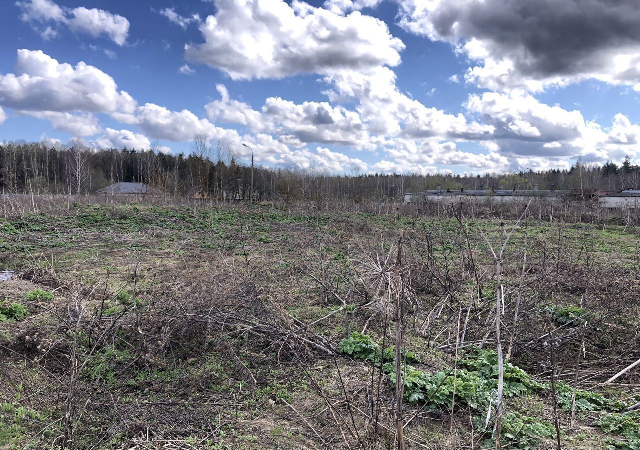 земля городской округ Богородский п Елизаветино ул Центральная 29 Электросталь фото 8