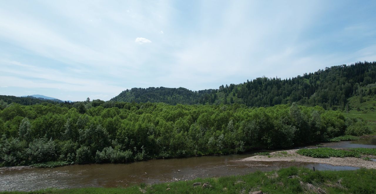 земля р-н Чойский с Левинка Горно-Алтайск фото 19