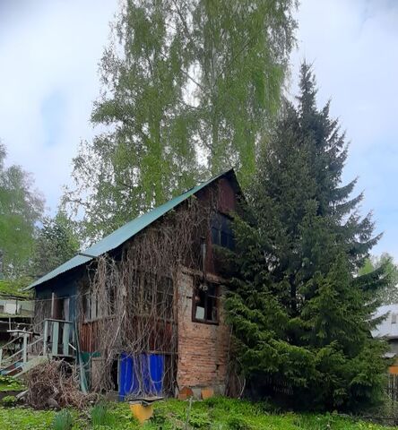 Станционный сельсовет, Яблонька садовое товарищество, 572 фото