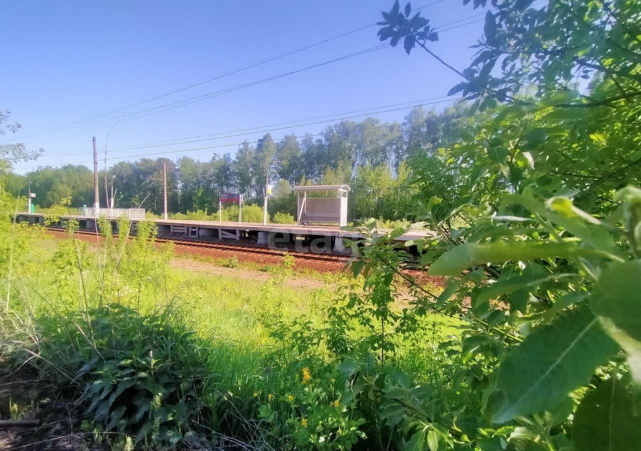 земля городской округ Раменский п Электроизолятор коттеджный пос. Сеченка Парк, Берёзовый б-р фото 15