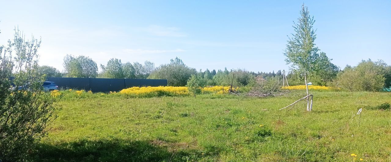 земля р-н Всеволожский д Лесколово Трасса Сортавала, 20 км, Лесколовское сельское поселение, ДНП Пять холмов фото 5