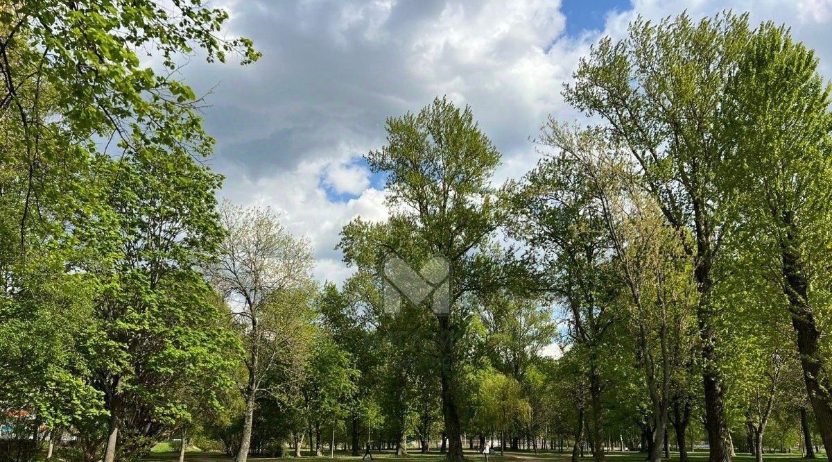 квартира г Санкт-Петербург метро Пионерская ЖК «Приморский квартал» фото 11