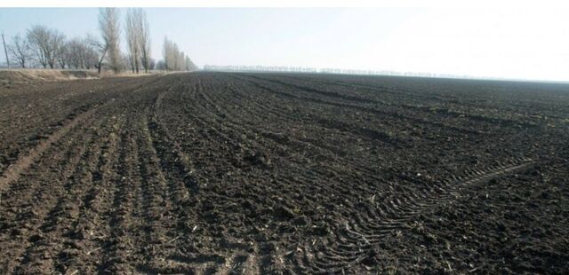 земля Нижнерусское сельское поселение, Кукмор фото