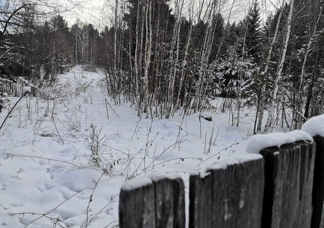 ул Трактовая 13 Большой Луг фото