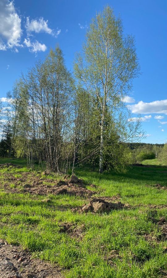 земля городской округ Пушкинский п Правдинский ул Полевая фото 4