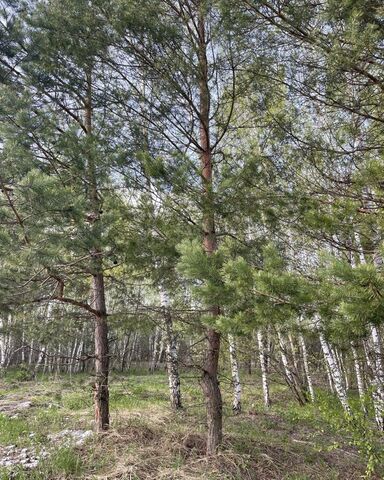 р-н Зареченский сельский пос. Ленинский, Ленинский фото