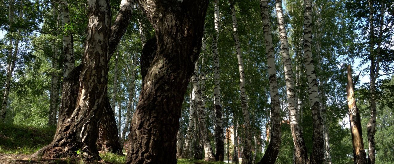 квартира г Новосибирск Заельцовская ул Лобачевского 53/2 фото 3