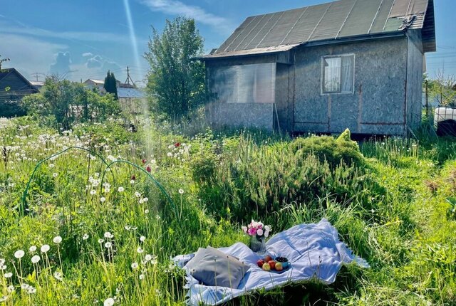 Пениковское сельское поселение, садоводческое некоммерческое товарищество Лангерево, 4-я линия фото