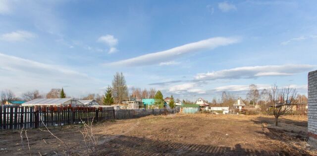 земля садоводческое товарищество, 2, Тобольск городской округ фото