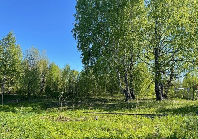 д Гари Кукуштан фото