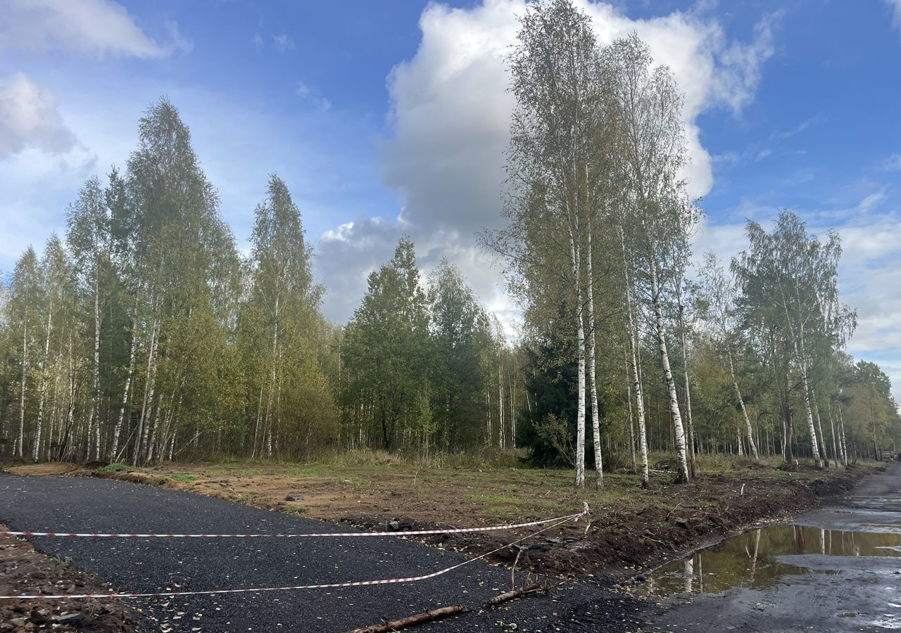 земля р-н Всеволожский г Всеволожск Всеволожское городское поселение фото 10